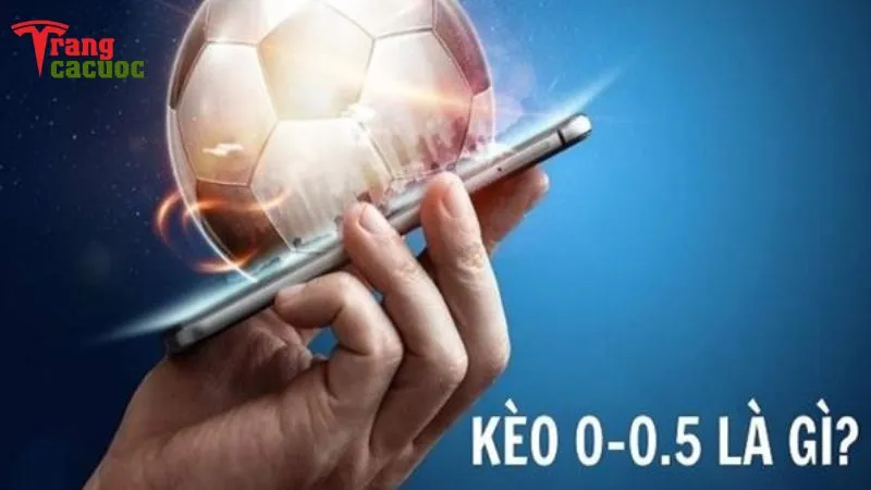 Kèo 0-0.5 là loại kèo phổ biến và dễ hiểu nhất trong cá cược bóng đá