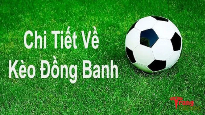 Tìm hiểu chi tiết về kèo chấp đồng banh 